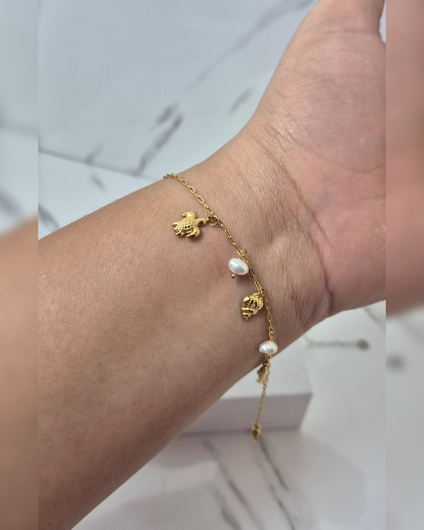 V26 Pulsera Charms v3